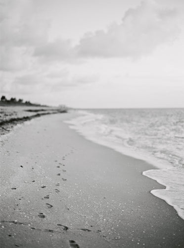 Beach Walk