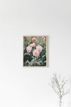 Load image into Gallery viewer, Biltmore Gardens