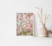 Load image into Gallery viewer, Japanese Magnolia