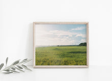 Load image into Gallery viewer, Low Country