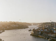 Load image into Gallery viewer, Os Pássaros