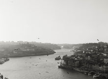 Load image into Gallery viewer, Os Pássaros - preto e branco