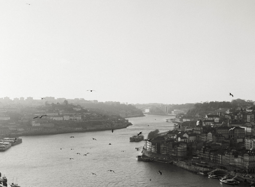 Os Pássaros - preto e branco