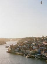 Load image into Gallery viewer, O Pássaro